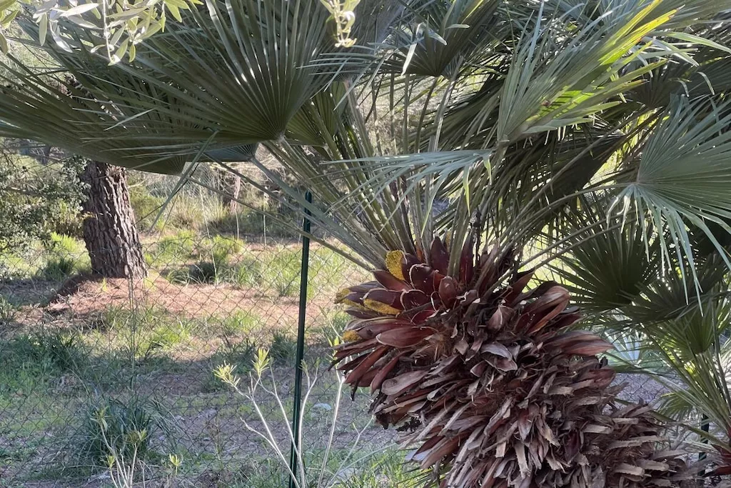 226226-Nicht zugeordnet