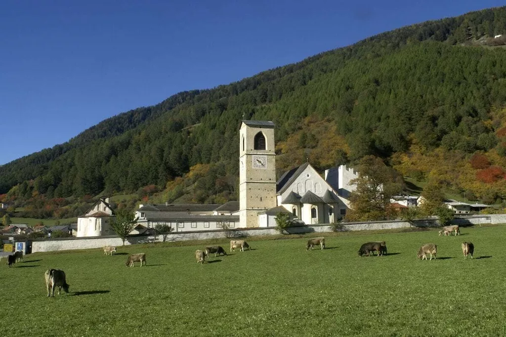 31143-Nicht zugeordnet