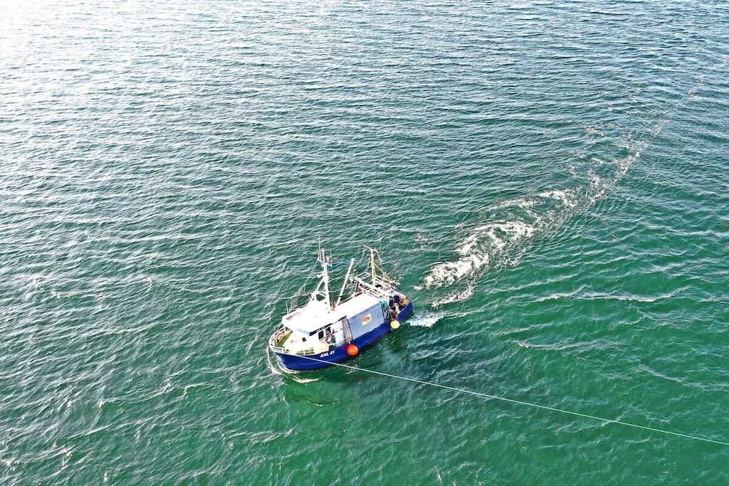 295768-Nicht zugeordnet