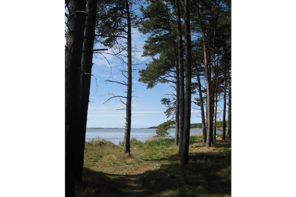 62971-Nicht zugeordnet