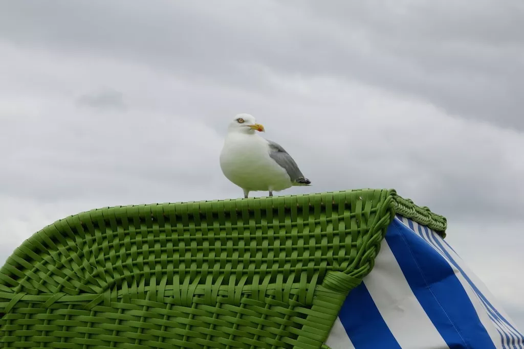 559385-Nicht zugeordnet