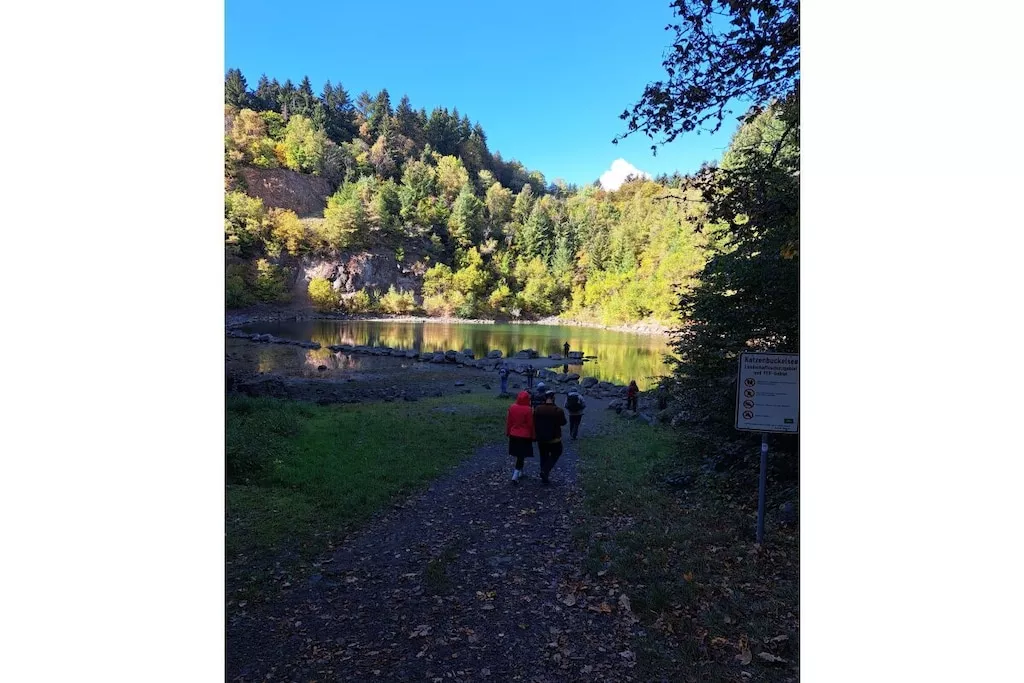 478264-Nicht zugeordnet