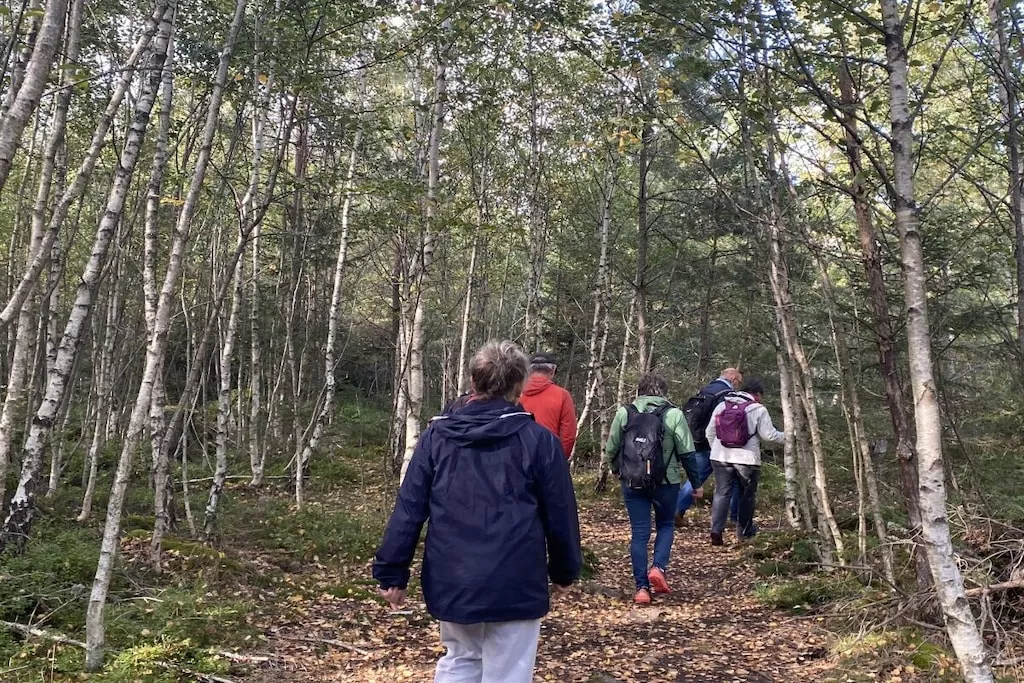 605956-Nicht zugeordnet