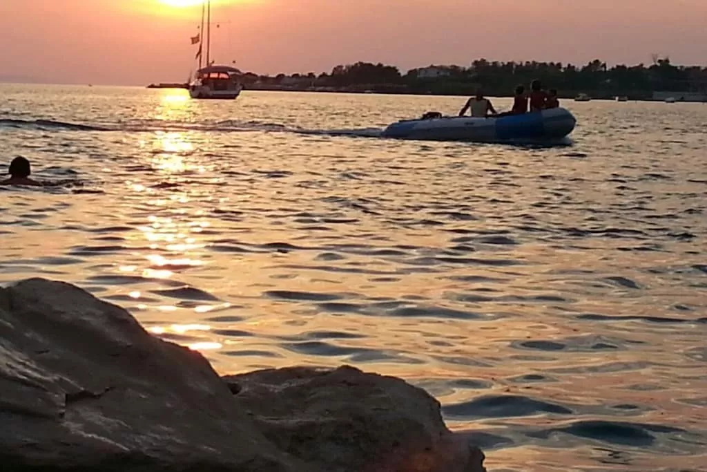 259223-Nicht zugeordnet