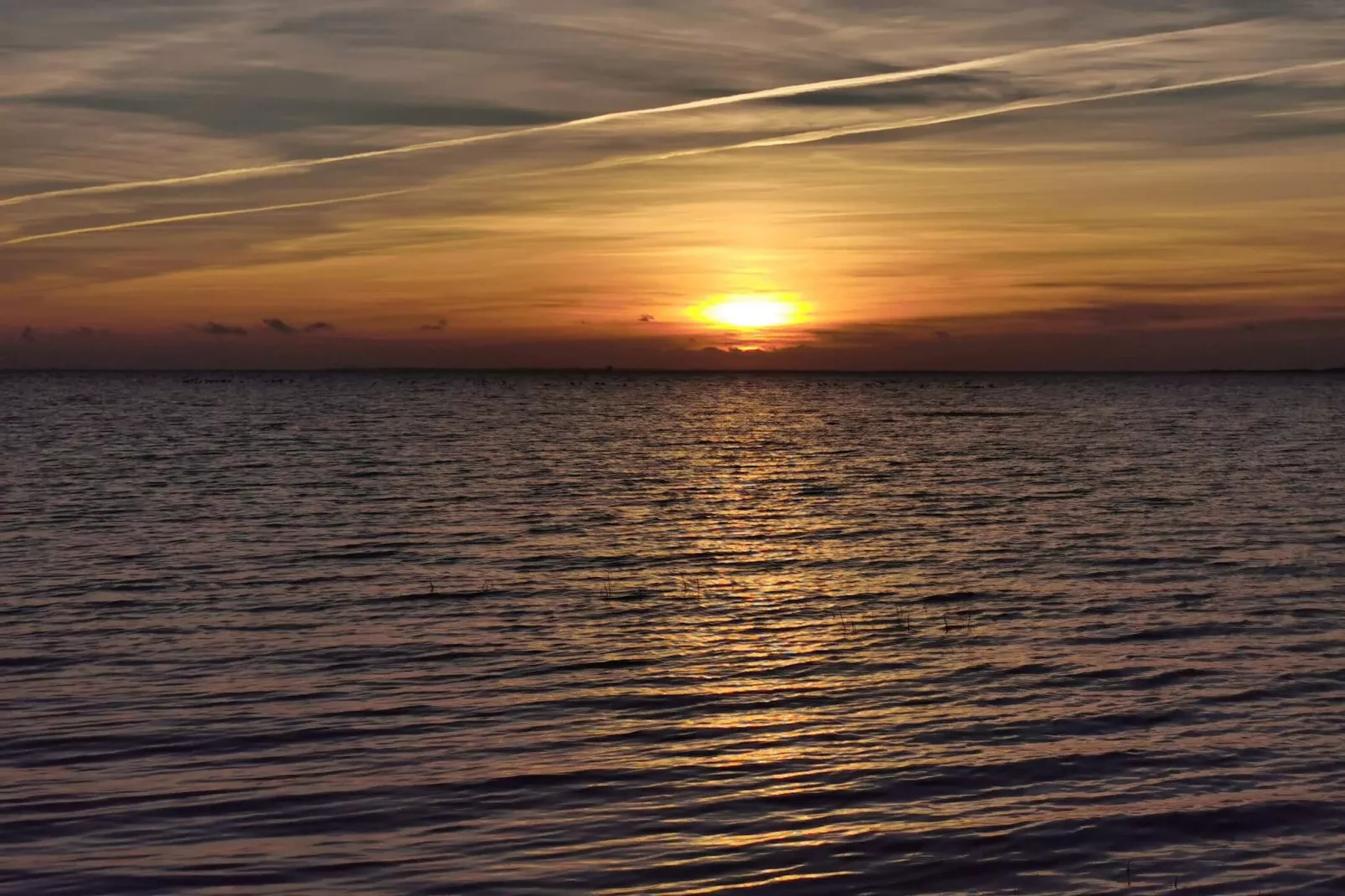 Maison de vacances pour 7 a Bredebro-By Traum-Vue sur l'eau