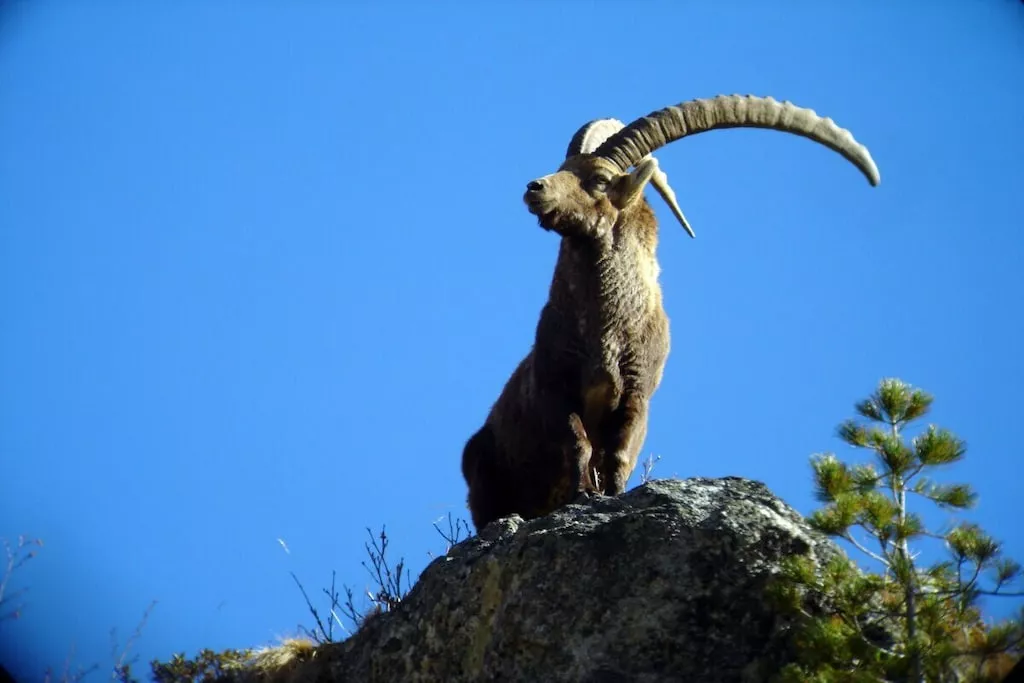 31143-Nicht zugeordnet