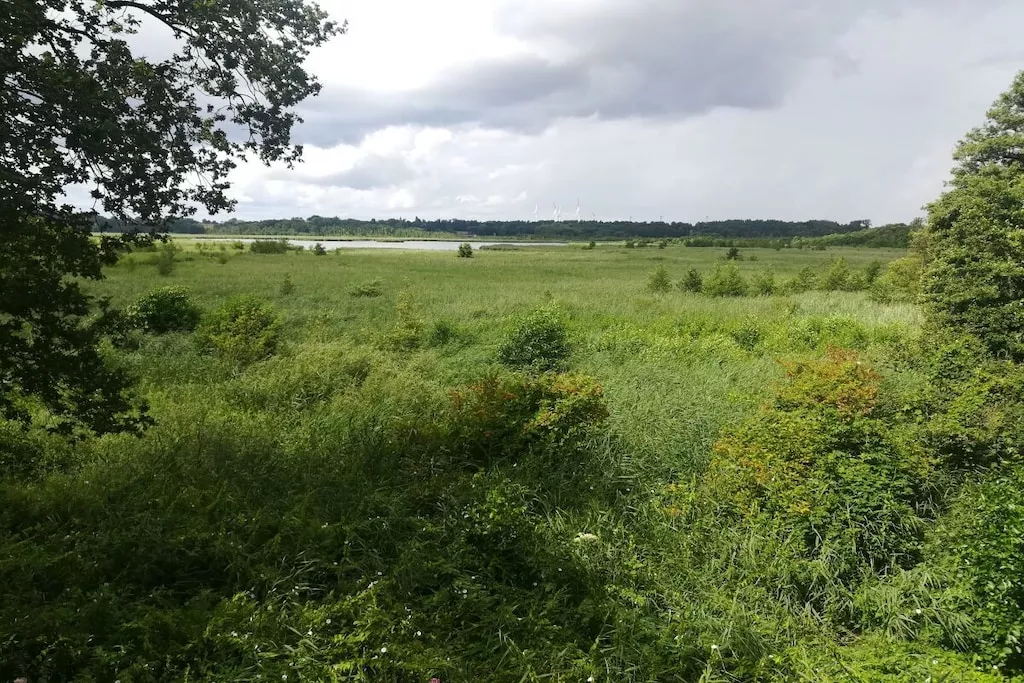 345954-Nicht zugeordnet