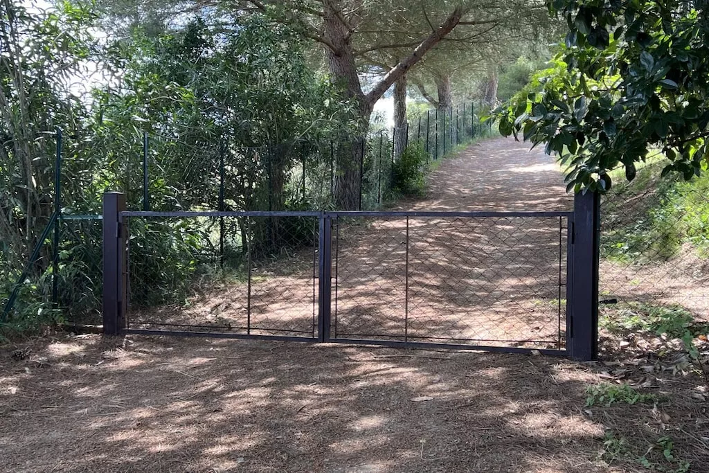 226226-Nicht zugeordnet