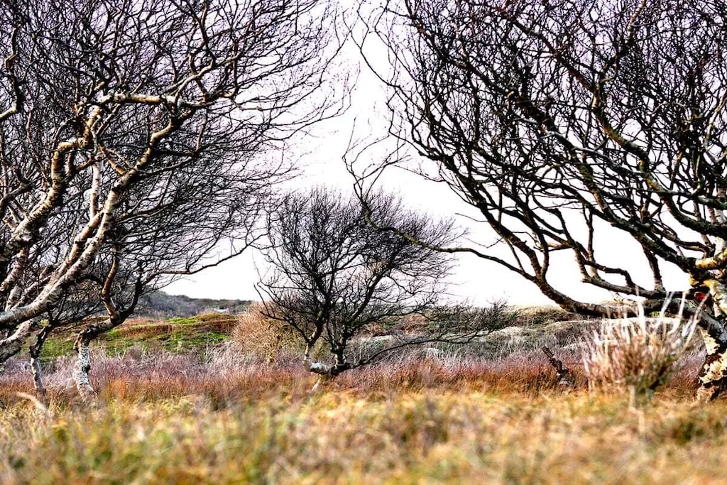 254647-Nicht zugeordnet