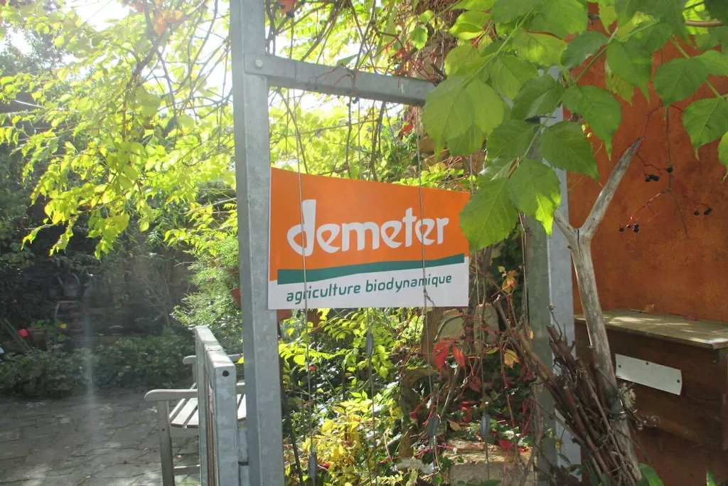 605956-Nicht zugeordnet