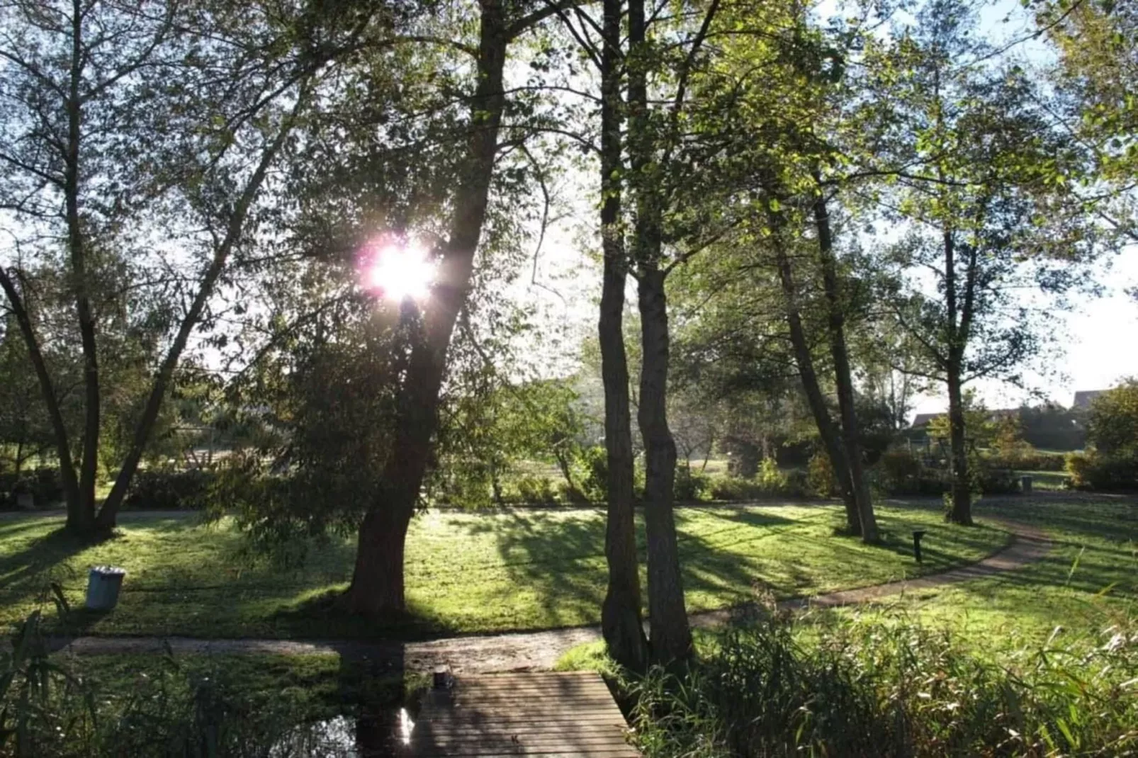 FH Wildgans Comfort Nr54-Garten Sommer