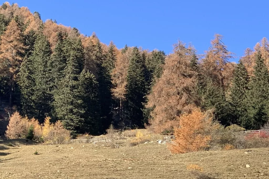 31143-Nicht zugeordnet