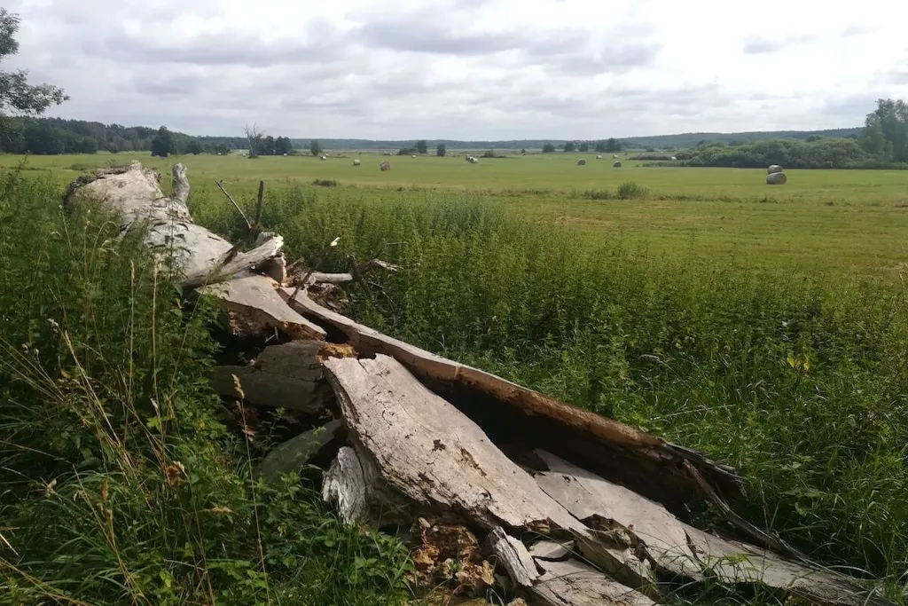 345954-Nicht zugeordnet