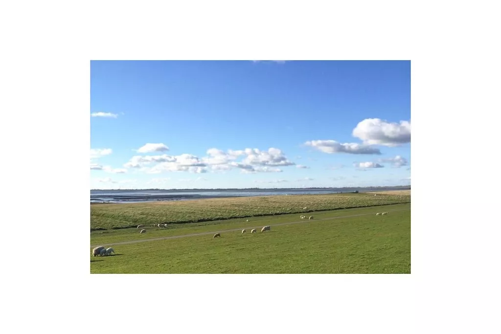 523364-Nicht zugeordnet