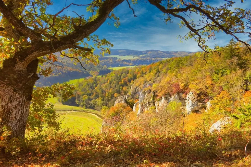 13478-Nicht zugeordnet