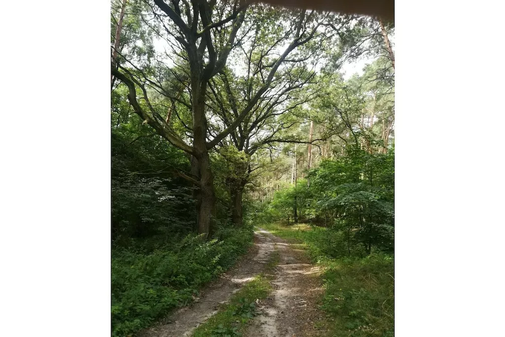 345954-Nicht zugeordnet