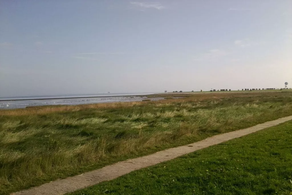 36342-Nicht zugeordnet