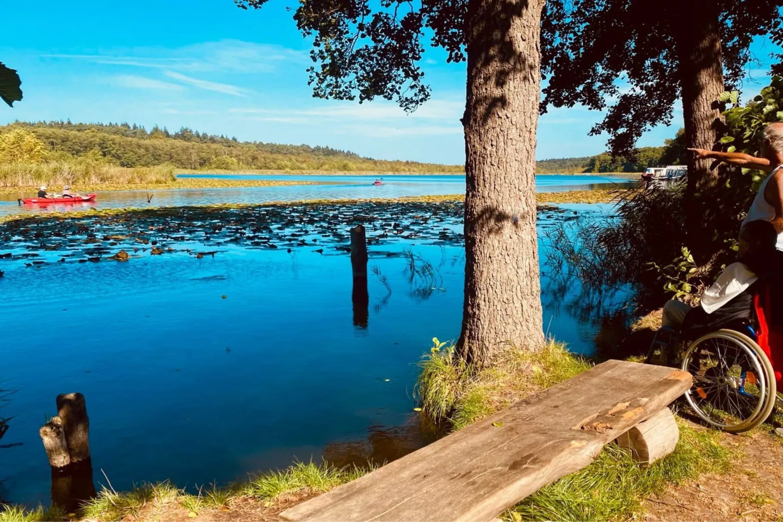 FH Wildgans Comfort mit Sauna & Kaminofen 81 qm 85-Zones été à 5 km