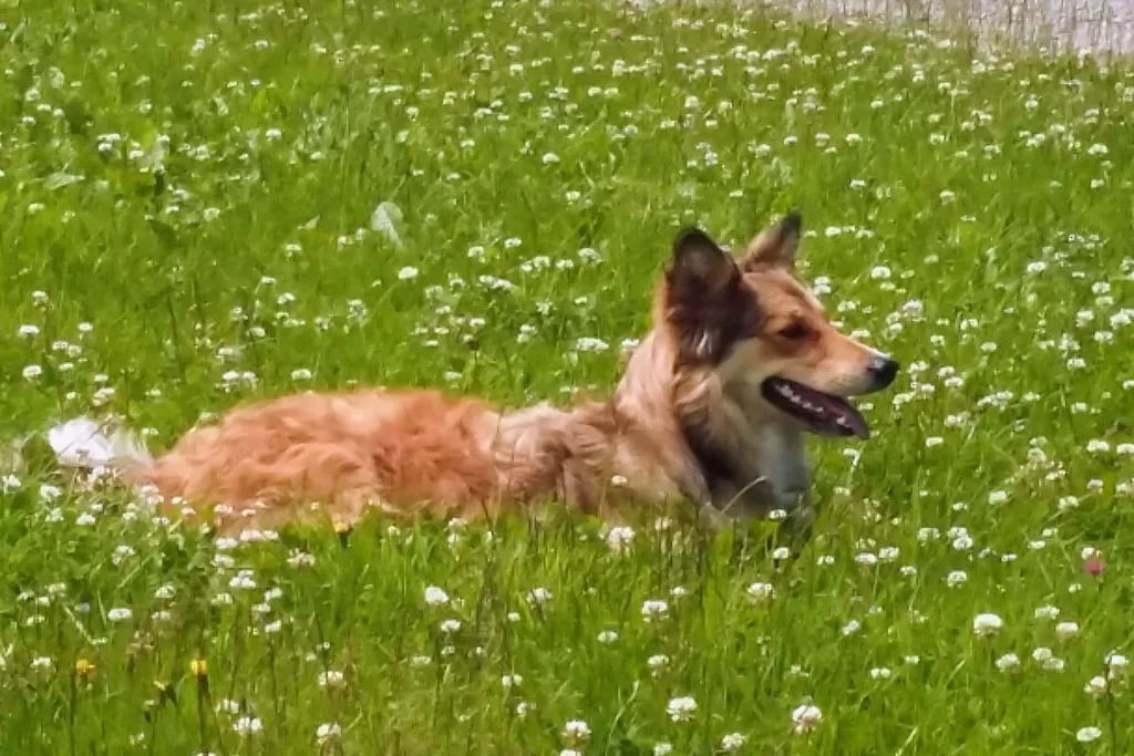 612360-Nicht zugeordnet