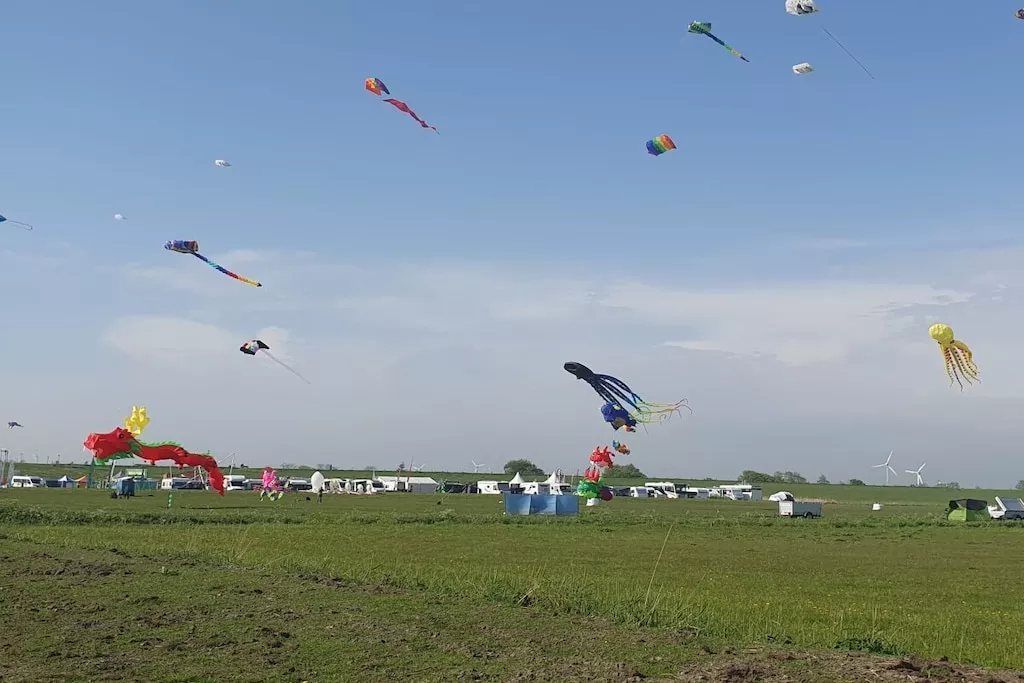 36342-Nicht zugeordnet