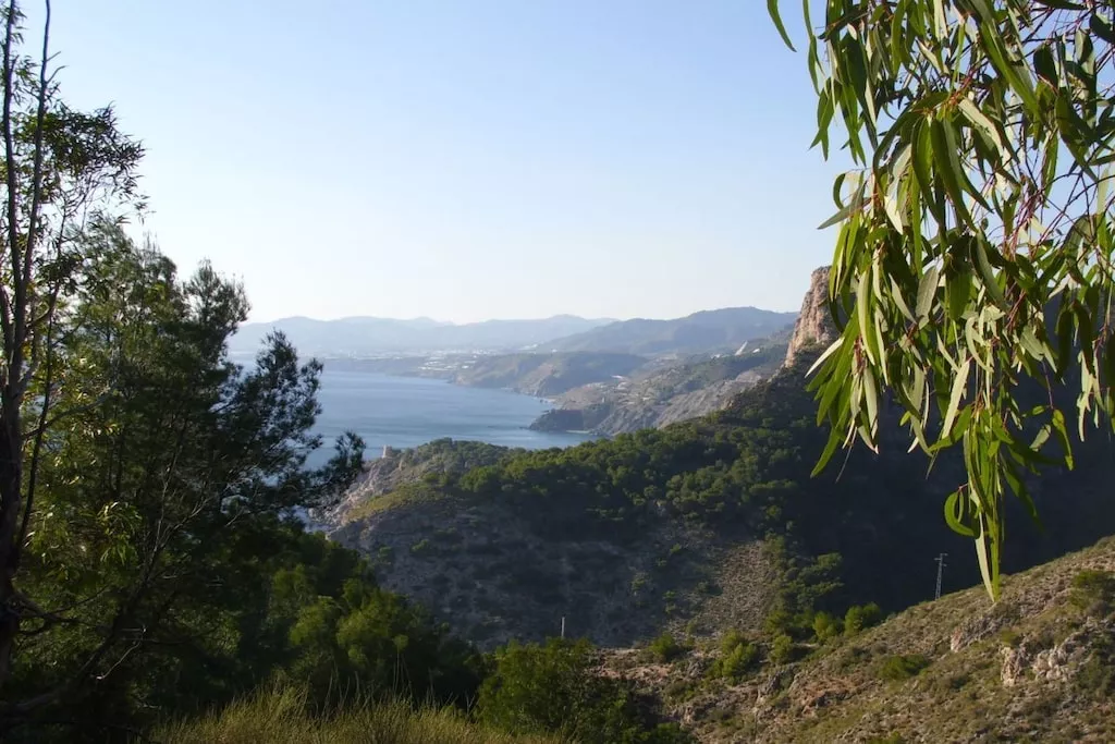 22730-Nicht zugeordnet