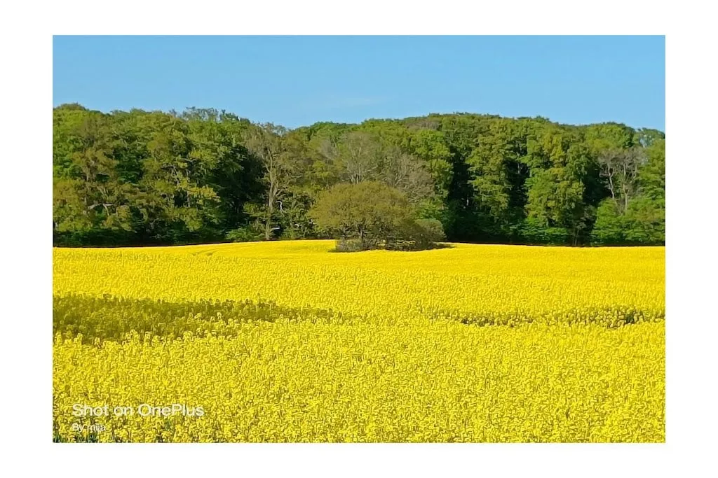 612360-Nicht zugeordnet