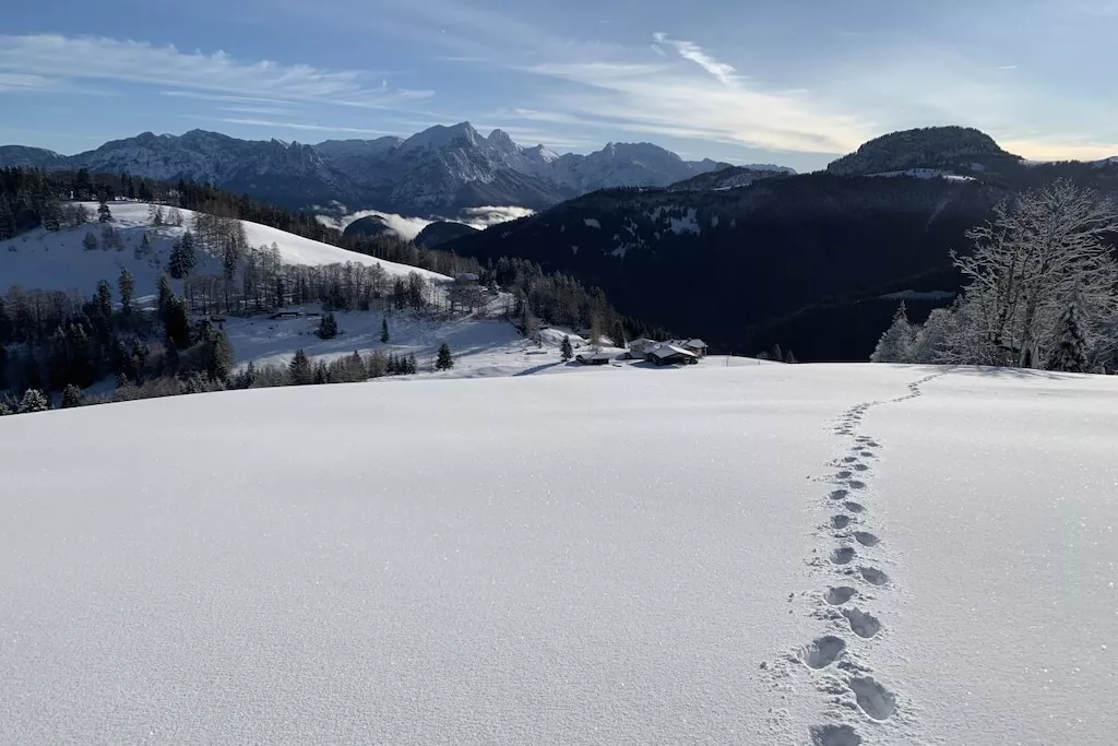 573104-Nicht zugeordnet