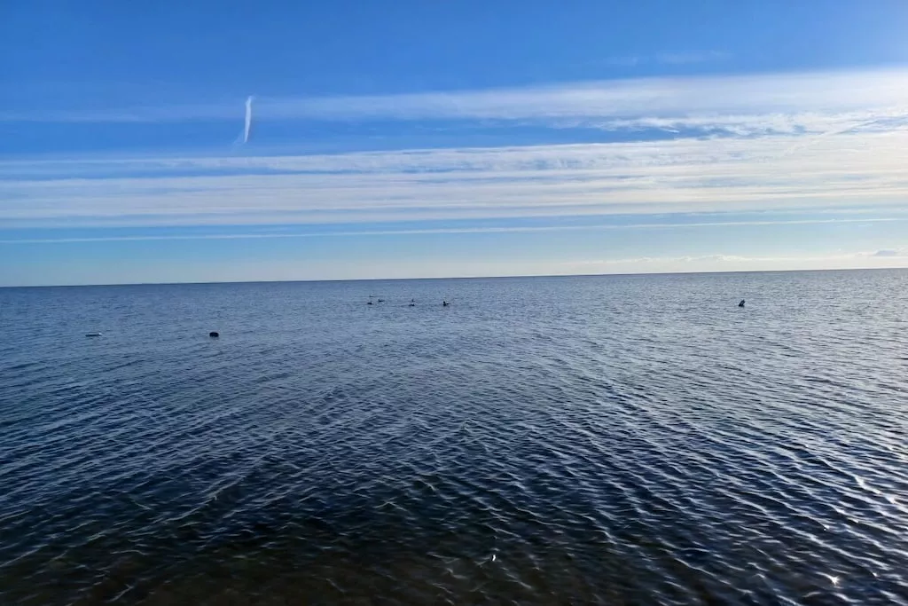 612360-Nicht zugeordnet