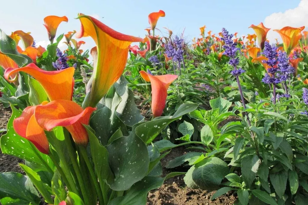 13478-Nicht zugeordnet