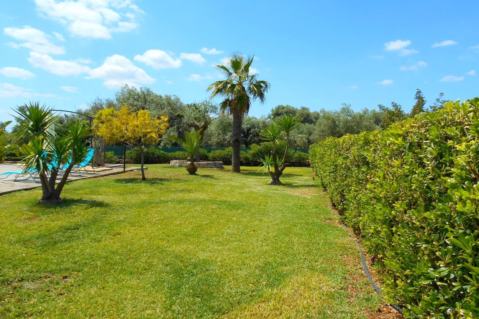 Villa Venera-Gardens in summer