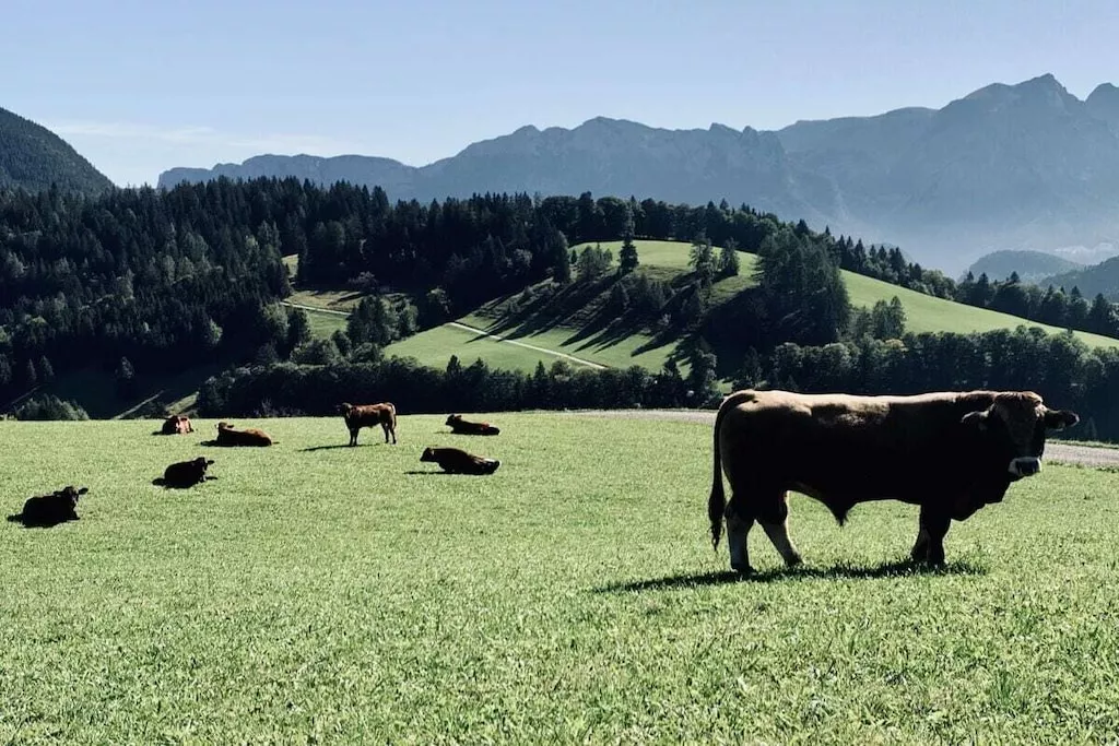 573104-Nicht zugeordnet