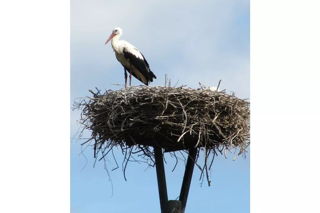 257097-Nicht zugeordnet