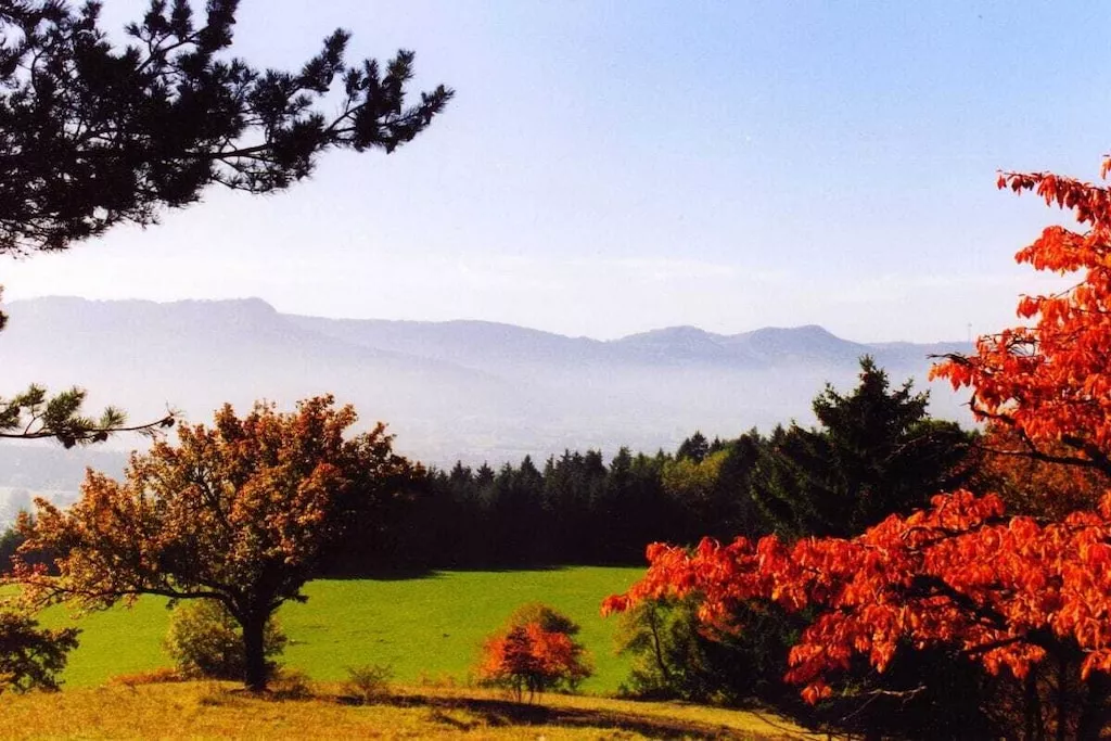 13478-Nicht zugeordnet