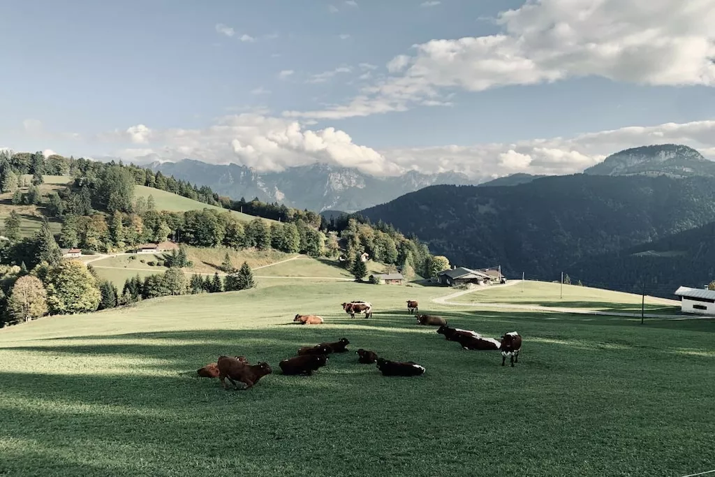 573104-Nicht zugeordnet