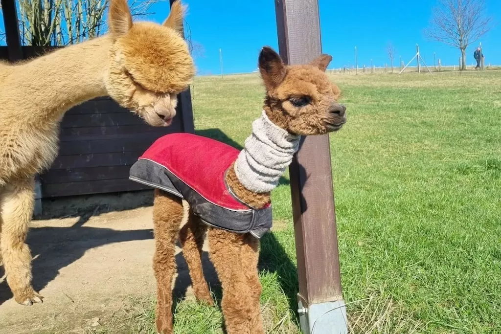 479153-Nicht zugeordnet