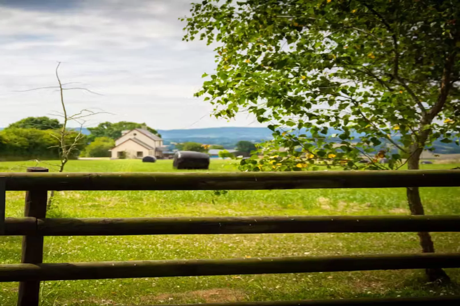 High Cloud Farm & Barn-Areas within 1km in summer