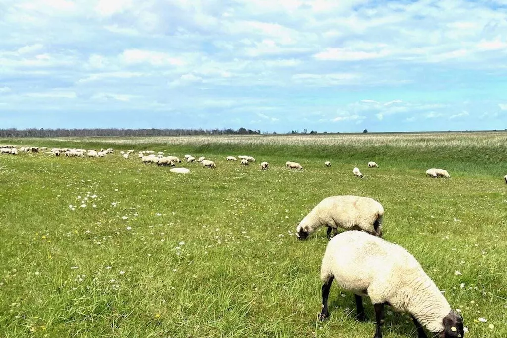 635286-Nicht zugeordnet