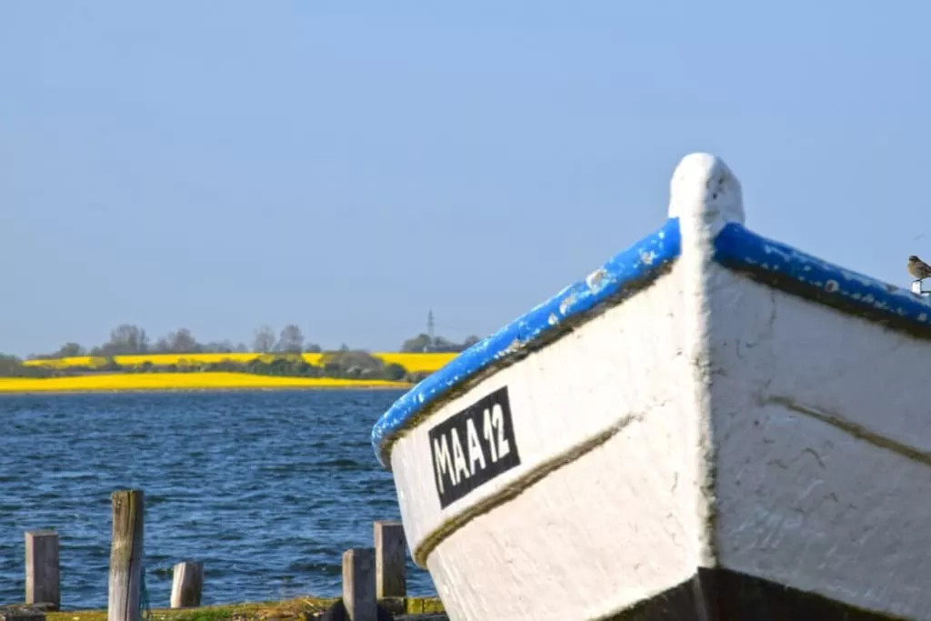 634541-Nicht zugeordnet