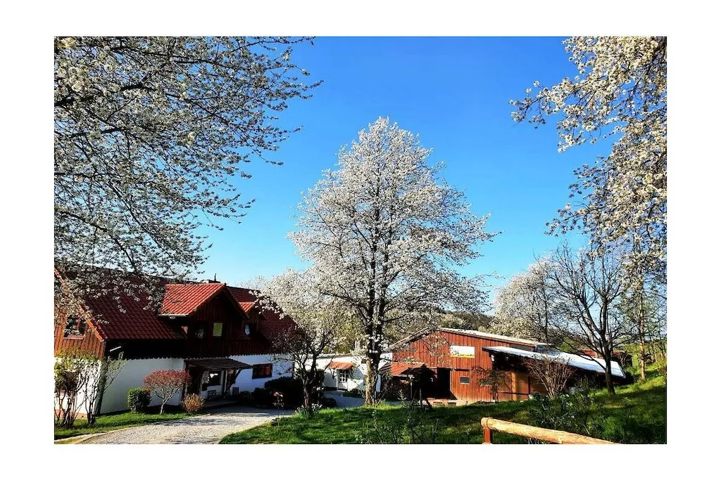 479153-Nicht zugeordnet