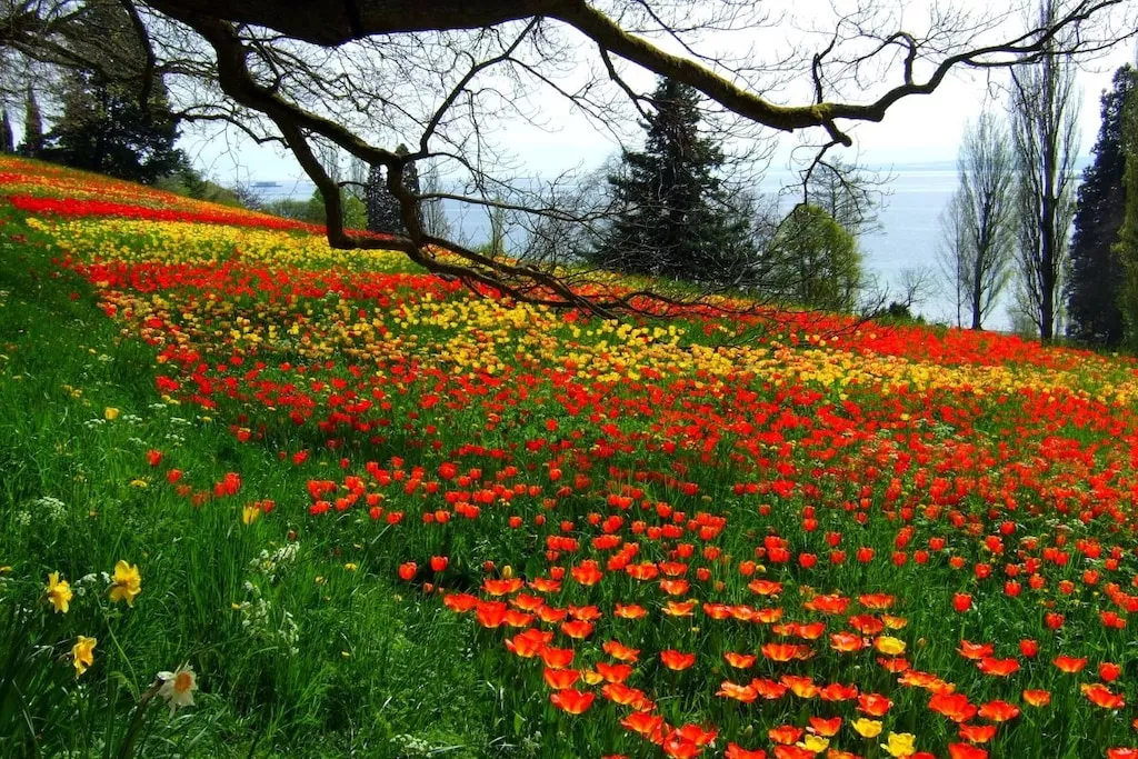 13478-Nicht zugeordnet