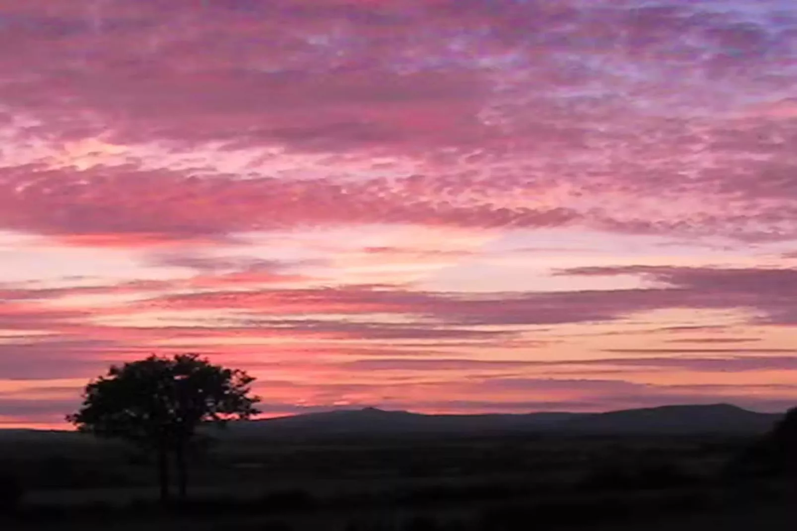 High Cloud Farm & Barn-Areas within 1km in summer