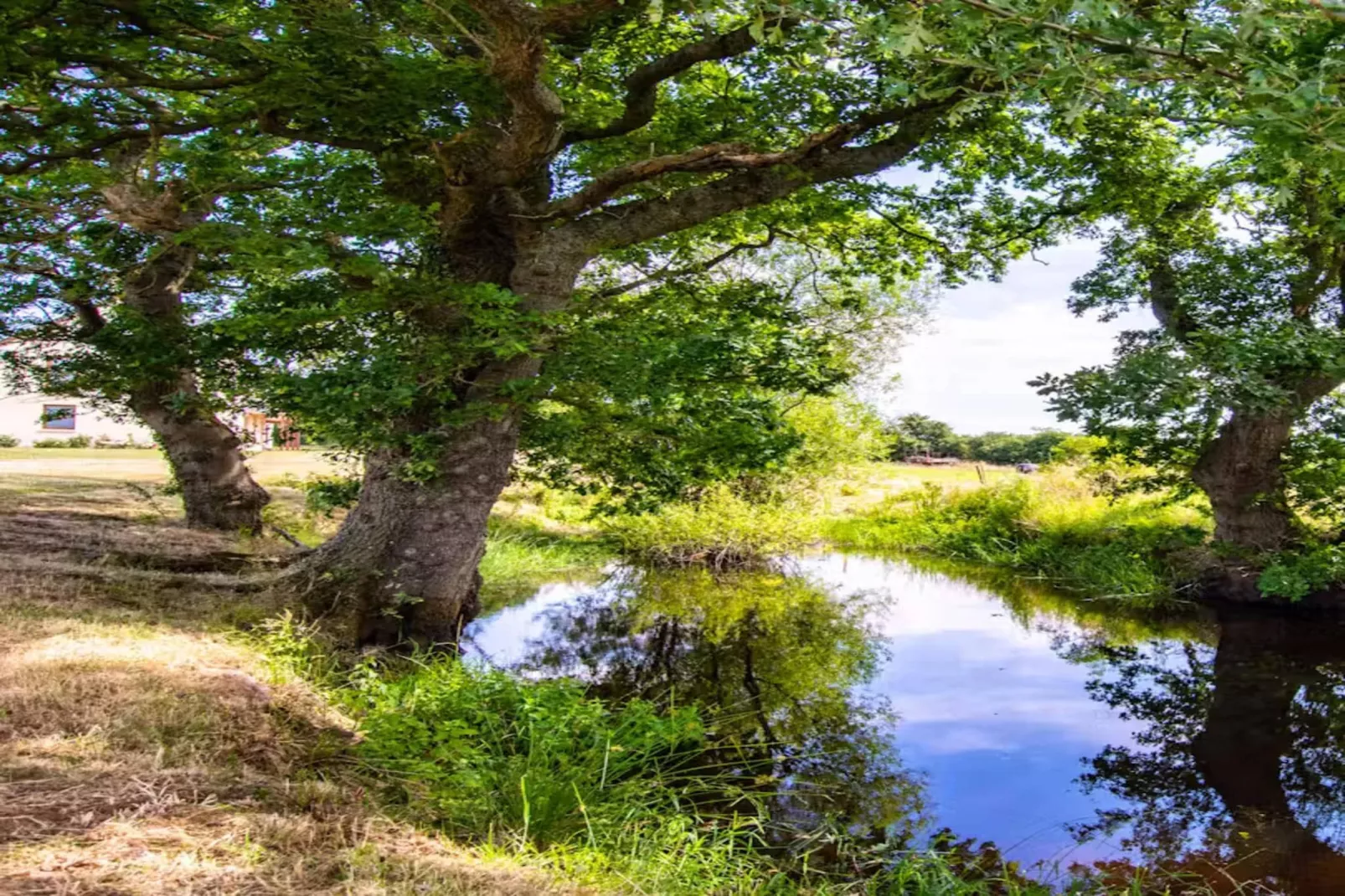 High Cloud Farm & Barn-Areas within 1km in summer