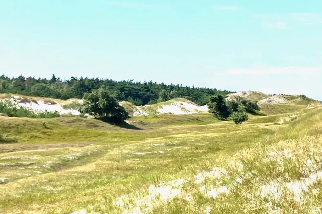 635286-Nicht zugeordnet