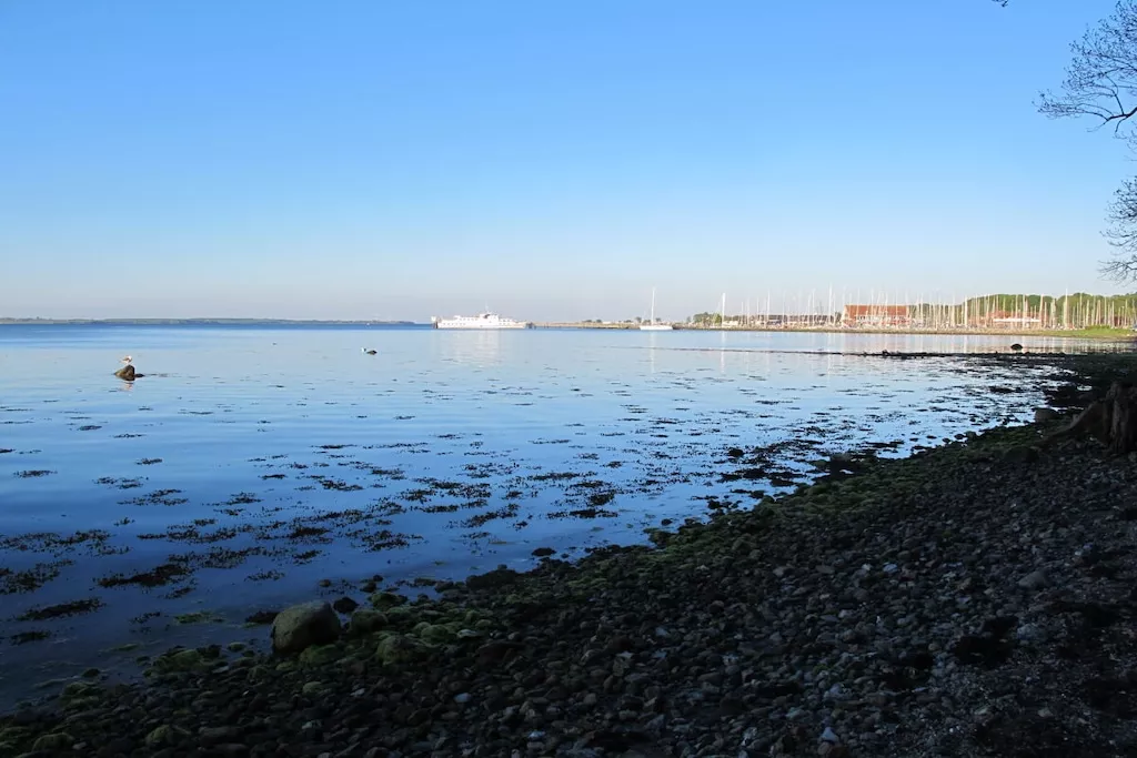 28973-Nicht zugeordnet