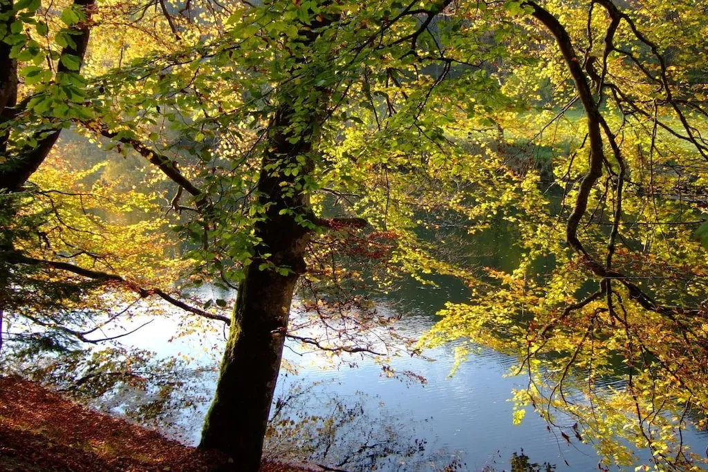 13478-Nicht zugeordnet