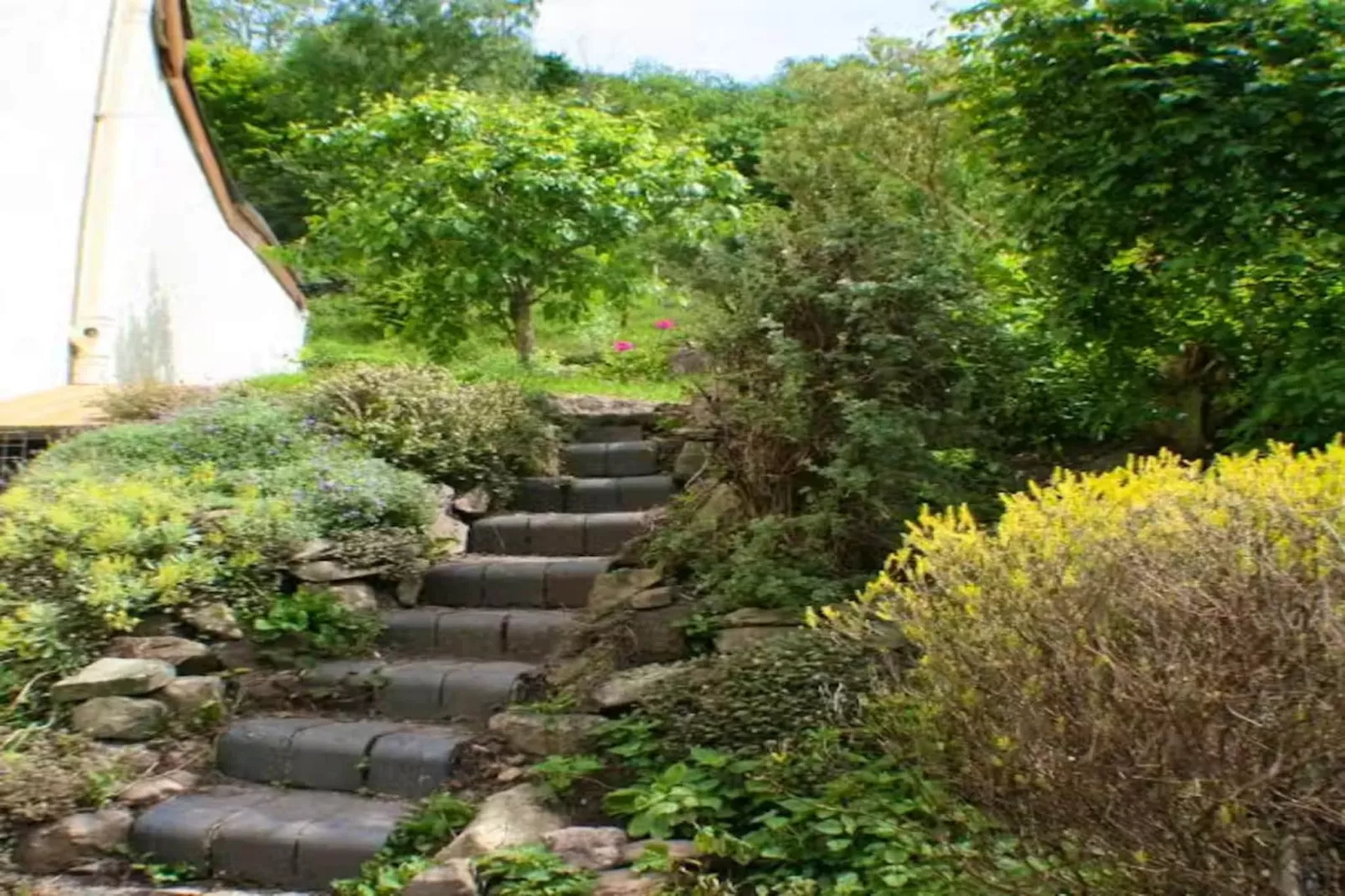 The Anchor-Gardens in summer