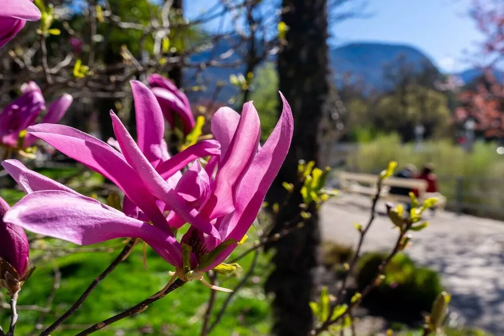 489126-Nicht zugeordnet