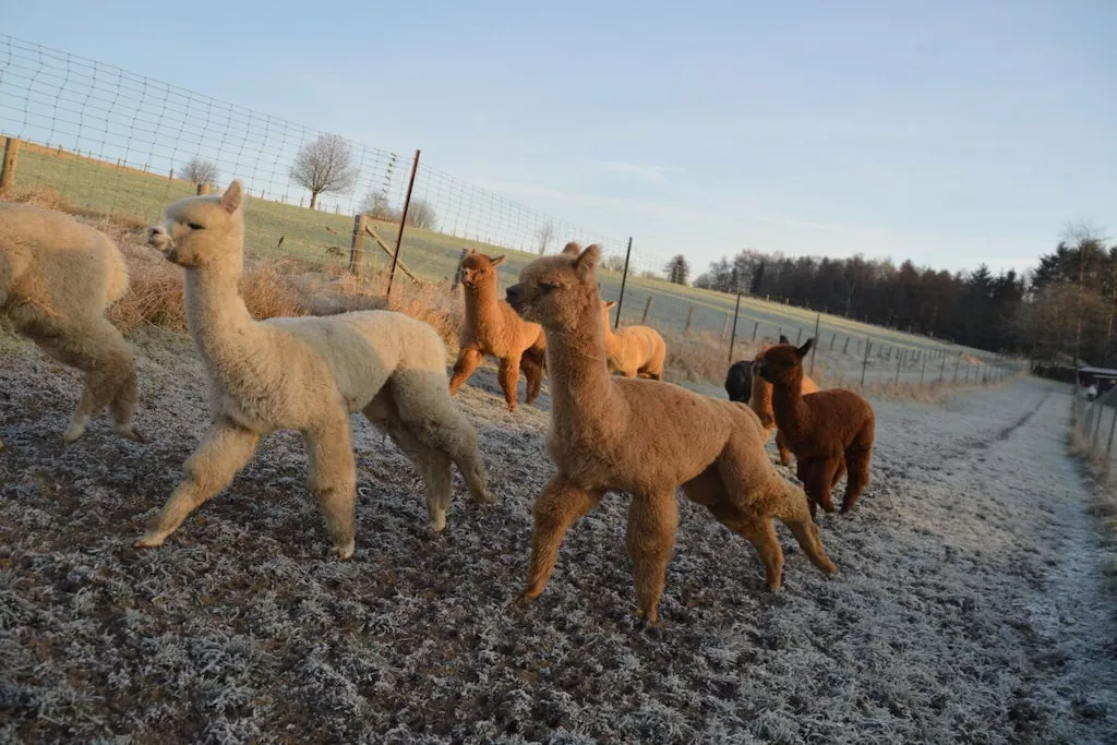 479153-Nicht zugeordnet