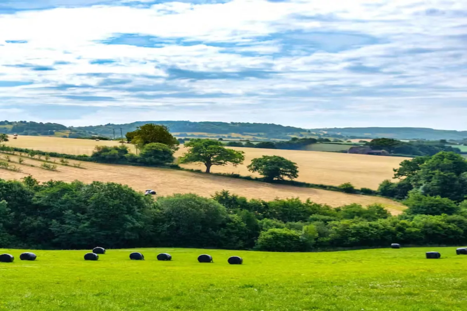 High Cloud Farm & Barn-Areas within 1km in summer