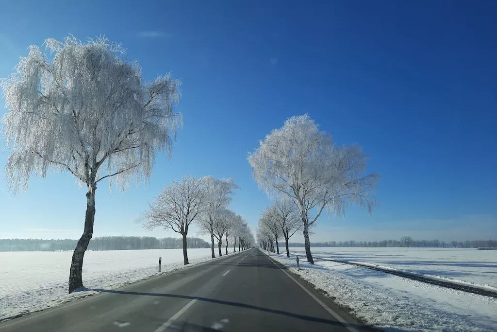 257097-Nicht zugeordnet